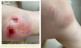 吃鸡皮肤爆料最新车皮肤,吃鸡游戏带你领略速度与激情